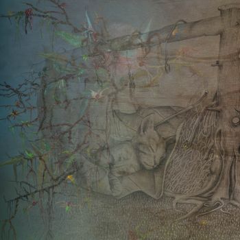 coverImage